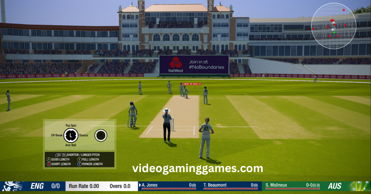 Cricket 19 Game Download For Pc